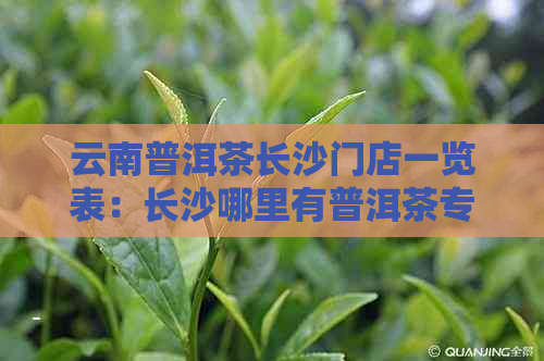 云南普洱茶长沙门店一览表：长沙哪里有普洱茶专卖店？