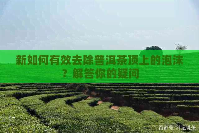 新如何有效去除普洱茶顶上的泡沫？解答你的疑问