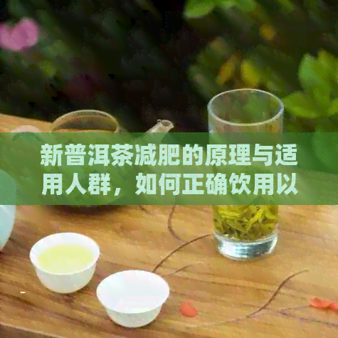 新普洱茶减肥的原理与适用人群，如何正确饮用以达到效果？