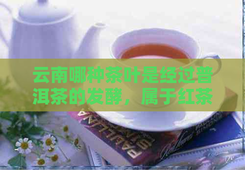 云南哪种茶叶是经过普洱茶的发酵，属于红茶、白茶或黑茶？