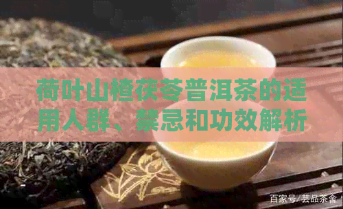 荷叶山楂茯苓普洱茶的适用人群、禁忌和功效解析，让你喝得安心！