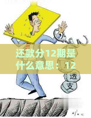 还款分12期是什么意思：12个月的分期还款，利息如何计算？