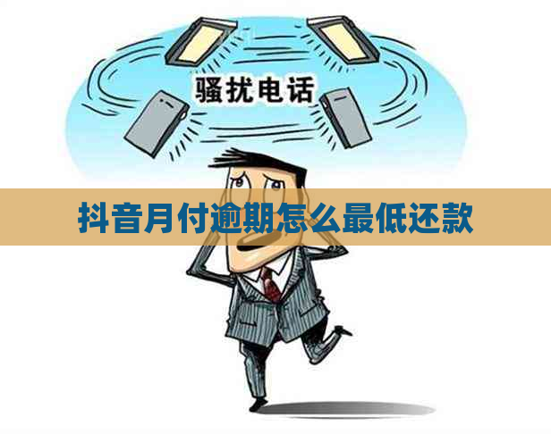 抖音月付逾期怎么更低还款