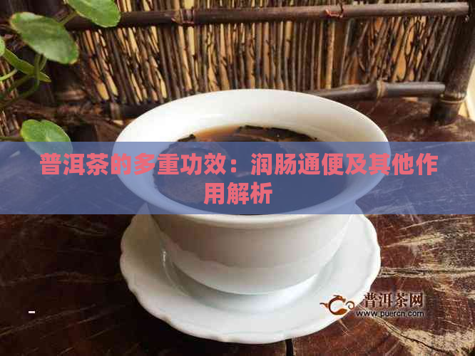 普洱茶的多重功效：润肠通便及其他作用解析