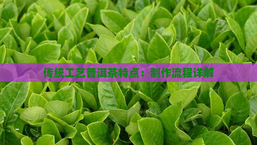 传统工艺普洱茶特点：制作流程详解