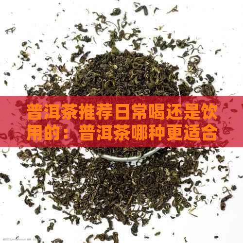 普洱茶推荐日常喝还是饮用的：普洱茶哪种更适合日常饮用？