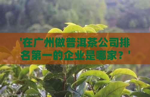 '在广州做普洱茶公司排名之一的企业是哪家？'