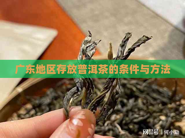 广东地区存放普洱茶的条件与方法