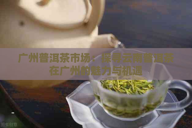 广州普洱茶市场：探寻云南普洱茶在广州的魅力与机遇