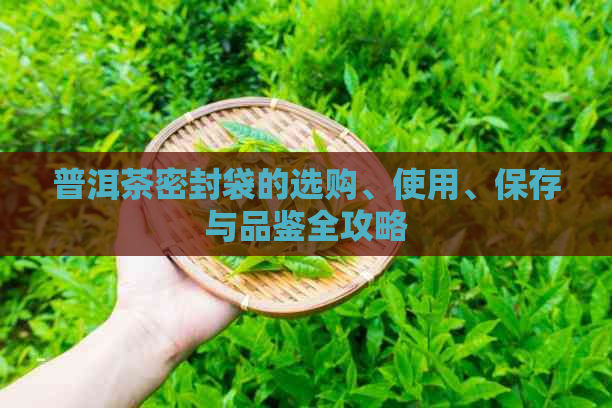 普洱茶密封袋的选购、使用、保存与品鉴全攻略