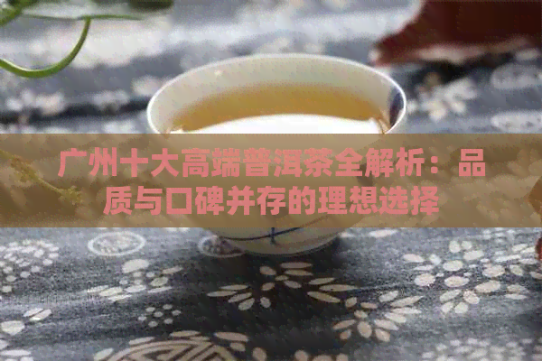 广州十大高端普洱茶全解析：品质与口碑并存的理想选择