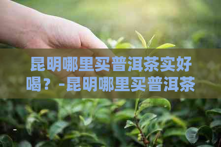 昆明哪里买普洱茶实好喝？-昆明哪里买普洱茶比较好