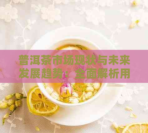 普洱茶市场现状与未来发展趋势：全面解析用户关注的热门问题