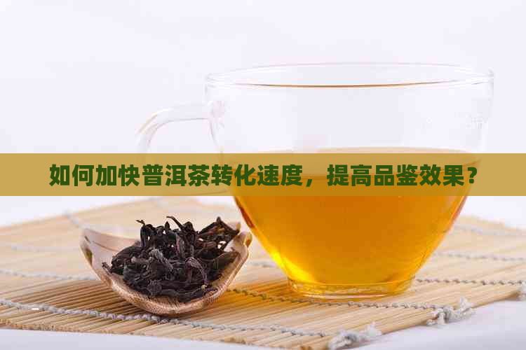 如何加快普洱茶转化速度，提高品鉴效果？