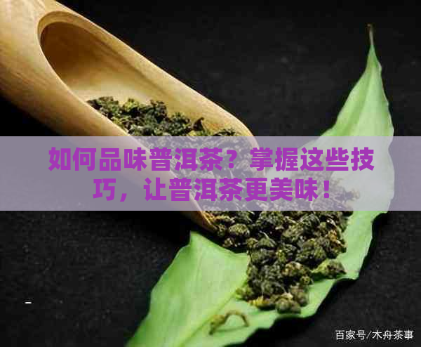 如何品味普洱茶？掌握这些技巧，让普洱茶更美味！