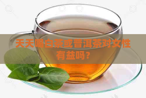 天天喝白茶或普洱茶对女性有益吗？