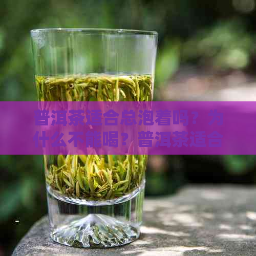 普洱茶适合总泡着吗？为什么不能喝？普洱茶适合长时间泡吗？