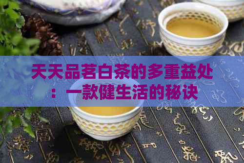 天天品茗白茶的多重益处：一款健生活的秘诀