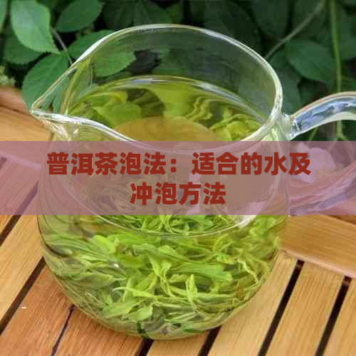 普洱茶泡法：适合的水及冲泡方法