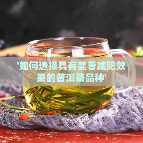 '如何选择具有显著减肥效果的普洱茶品种'