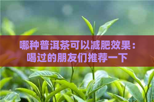 哪种普洱茶可以减肥效果：喝过的朋友们推荐一下