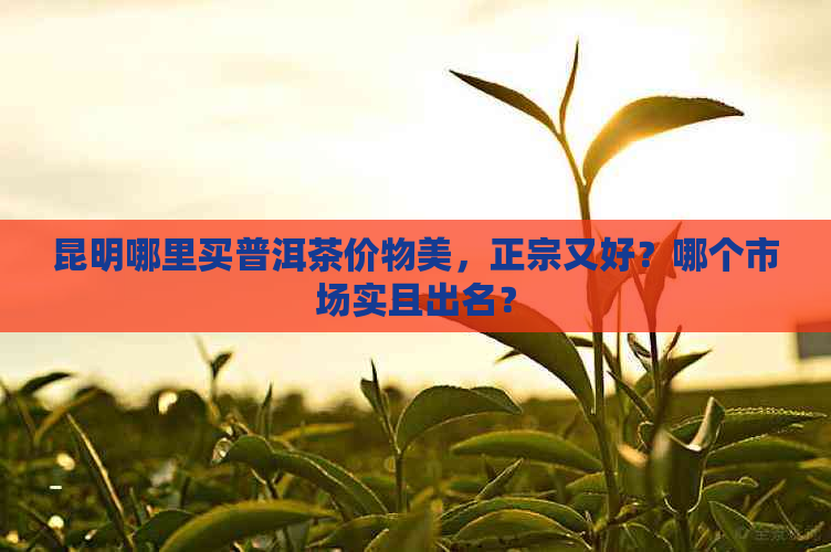 昆明哪里买普洱茶价物美，正宗又好？哪个市场实且出名？