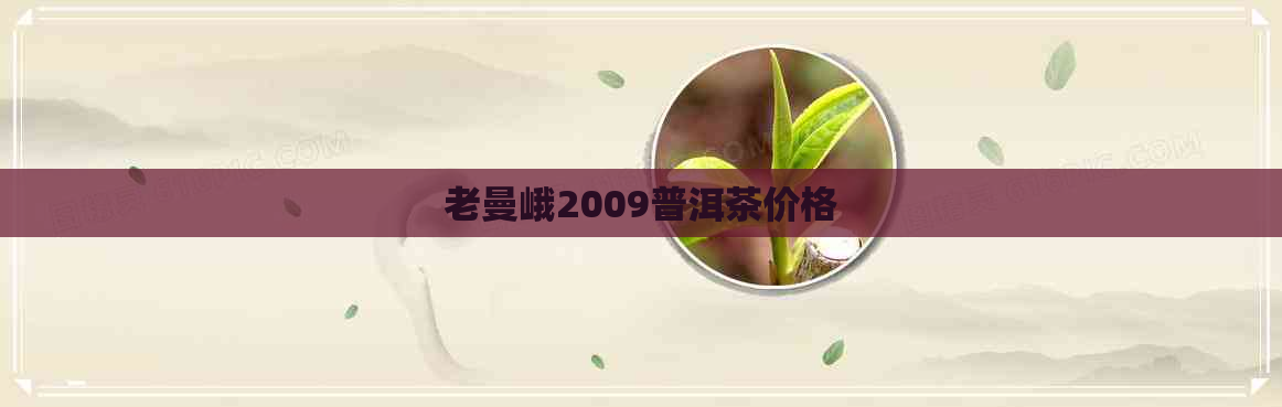 老曼峨2009普洱茶价格