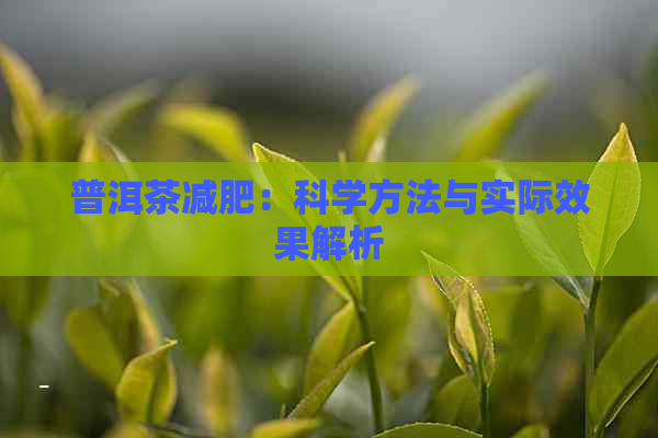 普洱茶减肥：科学方法与实际效果解析