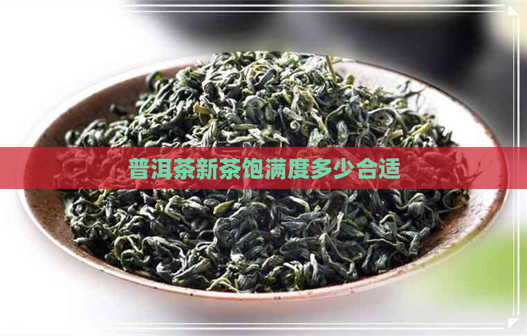 普洱茶新茶饱满度多少合适