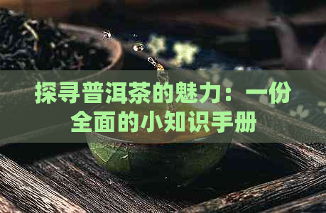 探寻普洱茶的魅力：一份全面的小知识手册