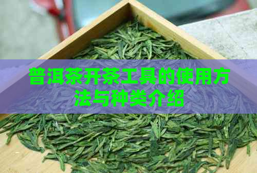 普洱茶开茶工具的使用方法与种类介绍