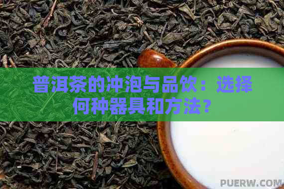 普洱茶的冲泡与品饮：选择何种器具和方法？