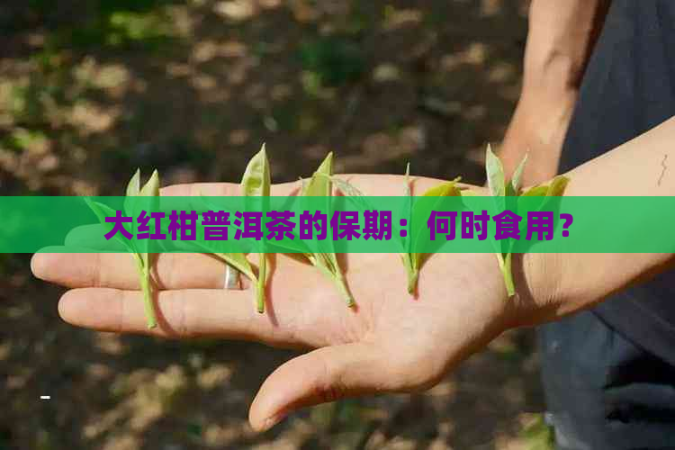 大红柑普洱茶的保期：何时食用？