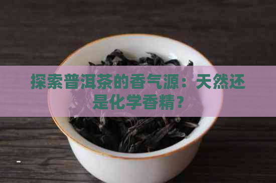 探索普洱茶的香气源：天然还是化学香精？