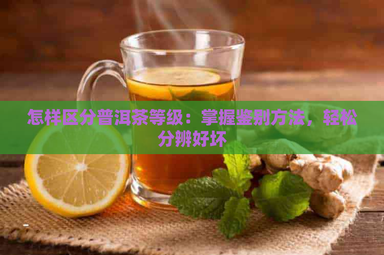 怎样区分普洱茶等级：掌握鉴别方法，轻松分辨好坏