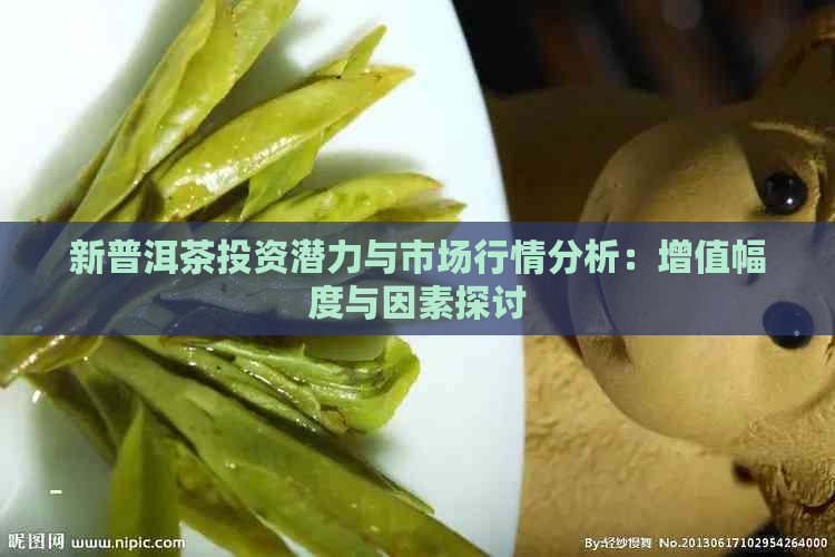 新普洱茶投资潜力与市场行情分析：增值幅度与因素探讨