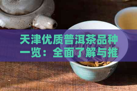 天津优质普洱茶品种一览：全面了解与推荐