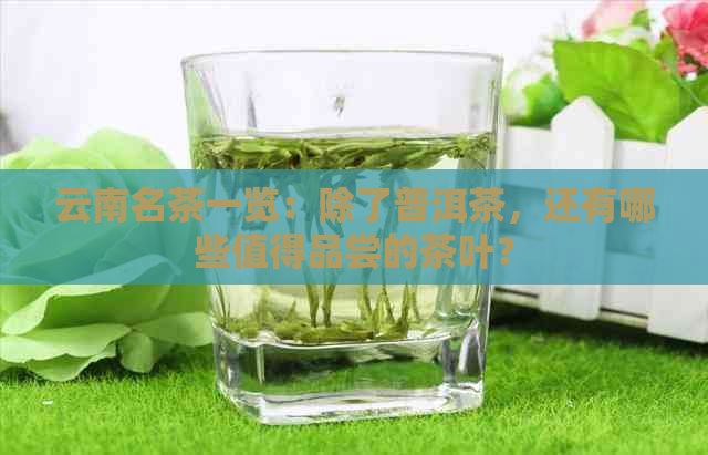 云南名茶一览：除了普洱茶，还有哪些值得品尝的茶叶？