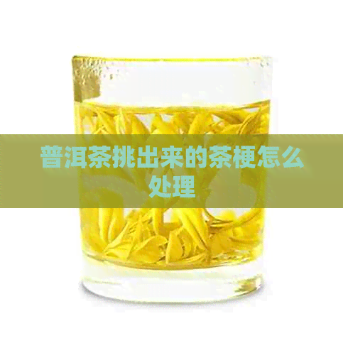 普洱茶挑出来的茶梗怎么处理