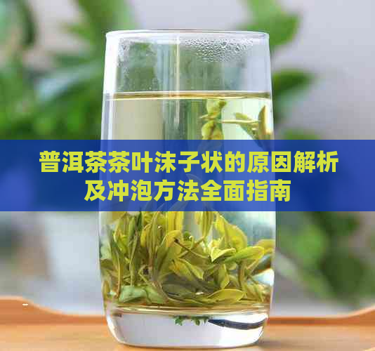 普洱茶茶叶沫子状的原因解析及冲泡方法全面指南