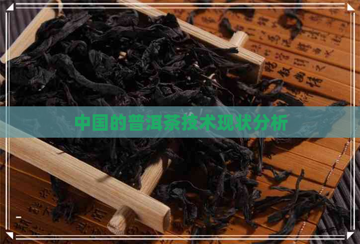 中国的普洱茶技术现状分析