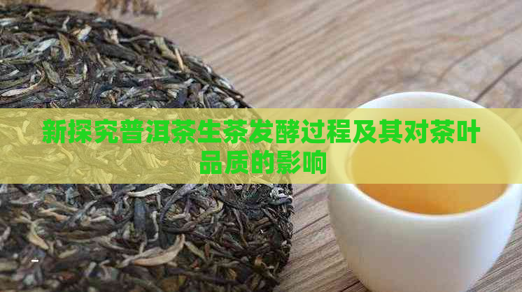 新探究普洱茶生茶发酵过程及其对茶叶品质的影响