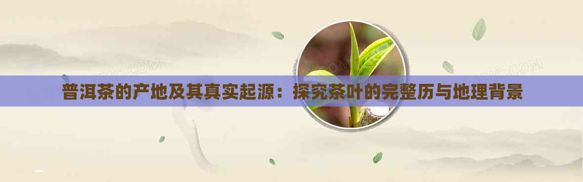 普洱茶的产地及其真实起源：探究茶叶的完整历与地理背景