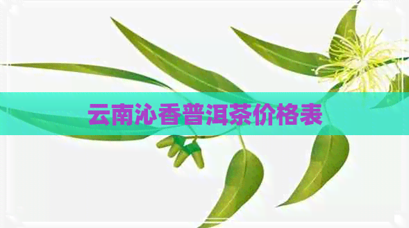 云南沁香普洱茶价格表