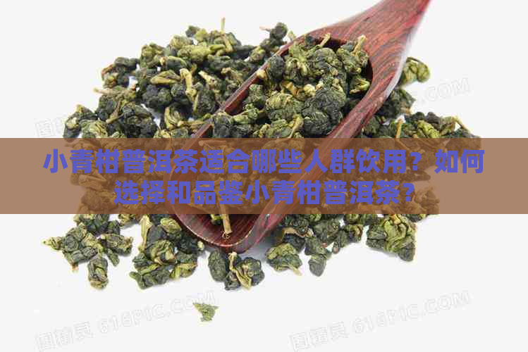 小青柑普洱茶适合哪些人群饮用？如何选择和品鉴小青柑普洱茶？