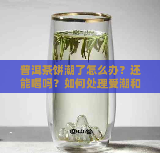 普洱茶饼潮了怎么办？还能喝吗？如何处理受潮和发霉的普洱茶饼？