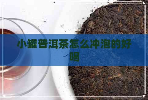 小罐普洱茶怎么冲泡的好喝