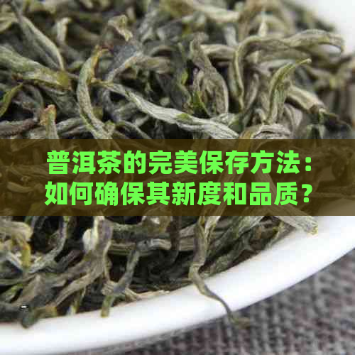 普洱茶的完美保存方法：如何确保其新度和品质？