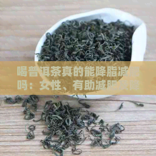 喝普洱茶真的能降脂减肥吗：女性、有助减肥及降脂的普洱茶全解析