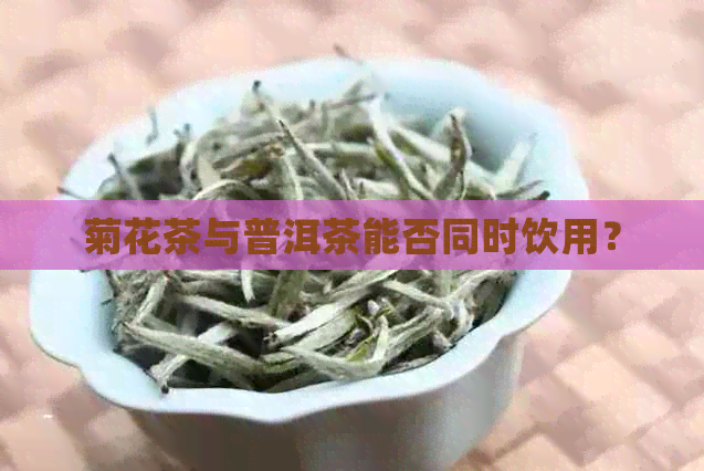 菊花茶与普洱茶能否同时饮用？